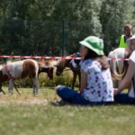 piknik-lotniczy-2022-5